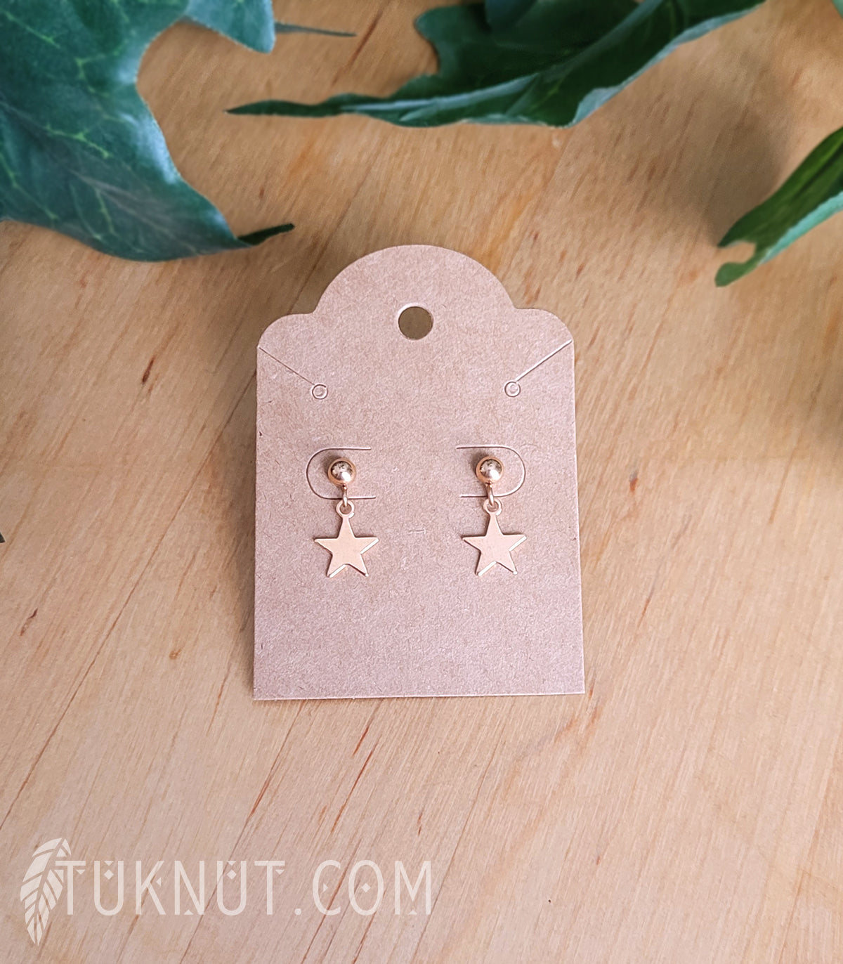 Boucles d'oreilles (tiges et papillons) d'inspiration autochtone; avec pendentifs (étoile) en acier inoxydable (couleur : or rose) TUKNUT