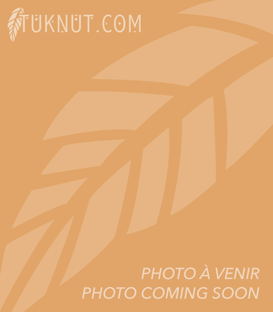 Collier Arbre de Vie dans un coeur doré • C01